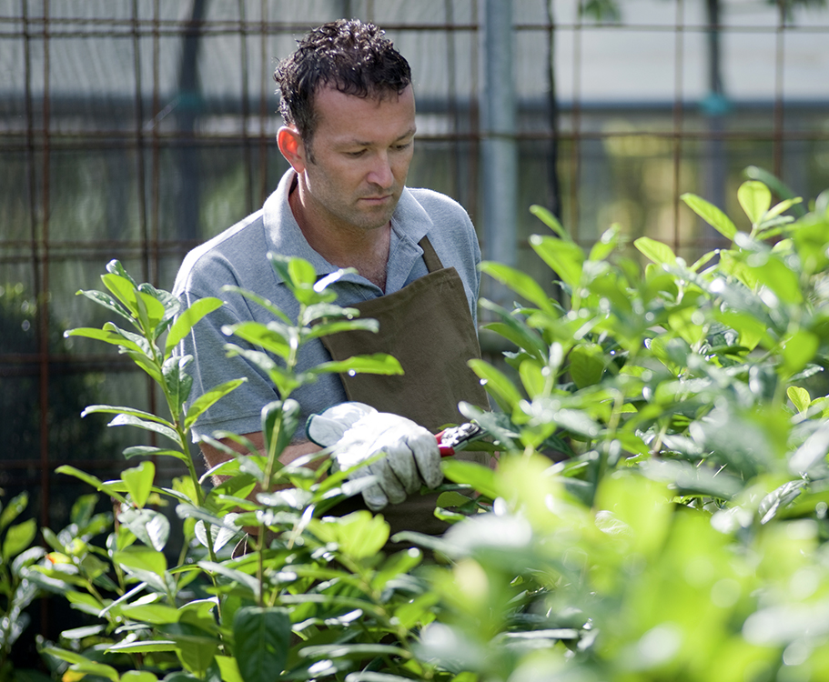 Medewerker groenbeheer cultuurlandschap