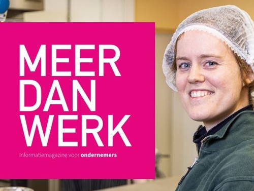 Magazine Meer dan werk 2022