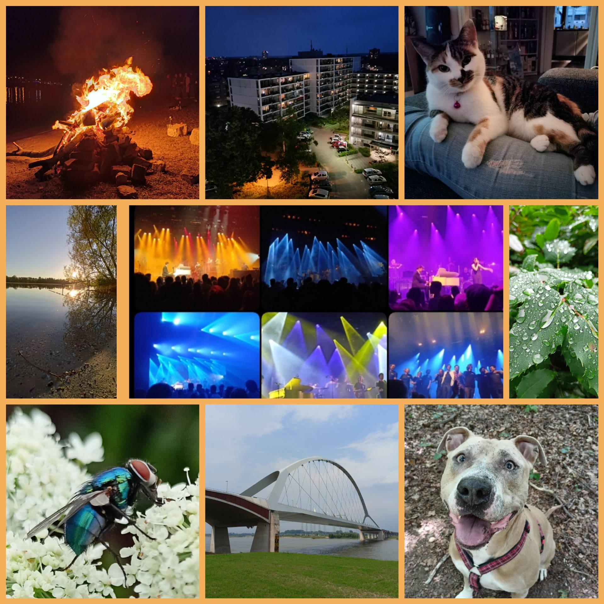 Melissa: Fotografie als ontsnappingsroute