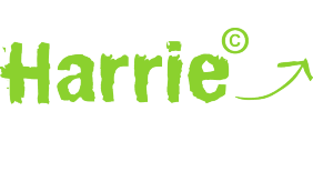 Harrie-training biedt handvatten voor begeleiding op de werkvloer