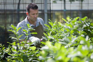 Zoekt en helpt u nieuw talent in het groen?