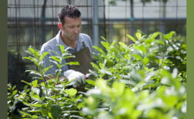 Een betaalde baan in het groen, mét opleiding?